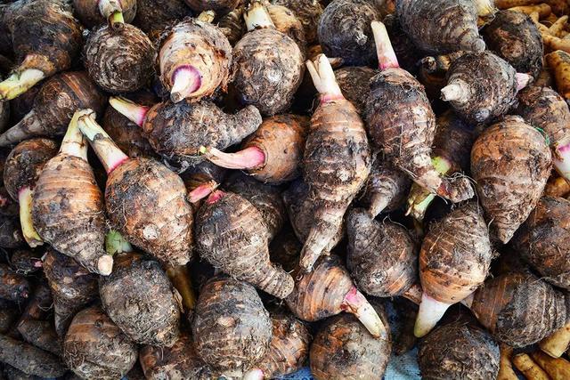 芋头，粮食界的“破圈”高手