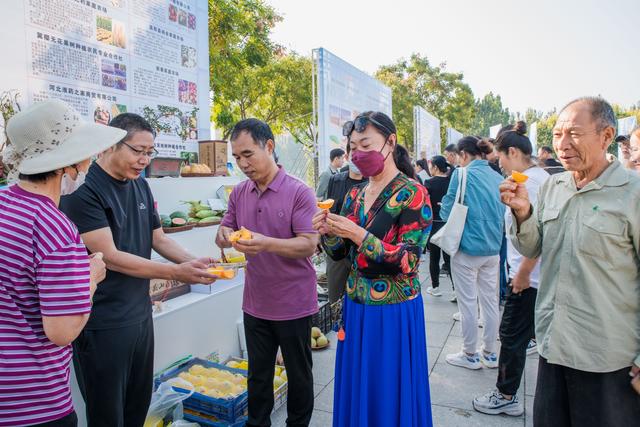 保定高阳：开展丰富多彩活动庆祝中国农民丰收节