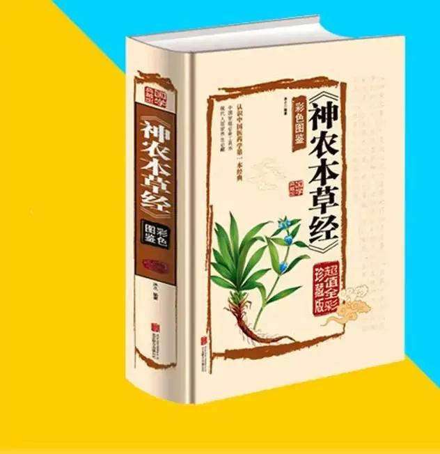 家乡若有这种“一条根”的植物，请你保护起来，别让外来人员采挖