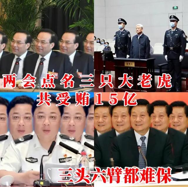 两会点名三只大老虎，共受贿15亿非法持有枪2支，震惊到你了吗？