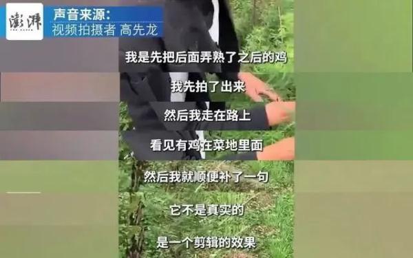 “毕业论文被鸡吃了”？当事人回应→