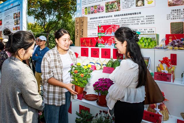 保定高阳：开展丰富多彩活动庆祝中国农民丰收节