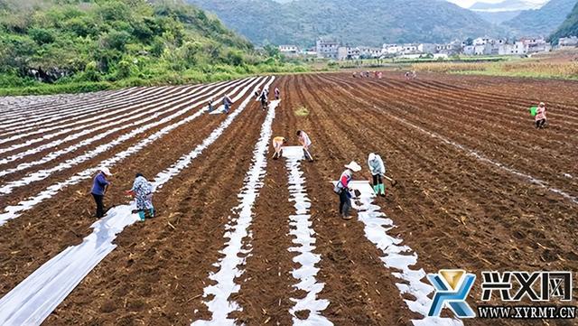 抢抓秋冬种 播种新希望