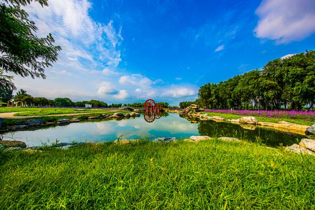 北京最美的季节里，北京号带您打卡秋日花海