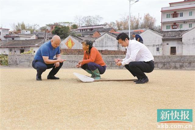 广州天河区驻梅州兴宁市坭陂镇工作队：引企留企振经济 养牛养鸽旺产业