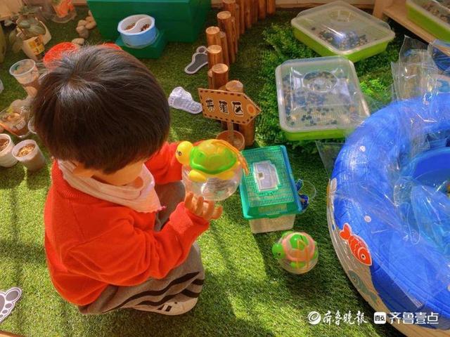 东昌府区实验幼儿园托二班“植物角的春天”