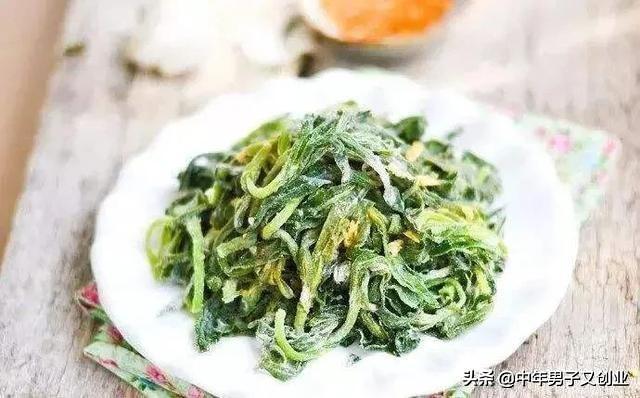 三月份的麦田里有一种美味野菜“面条菜”，现在却很难吃到了！