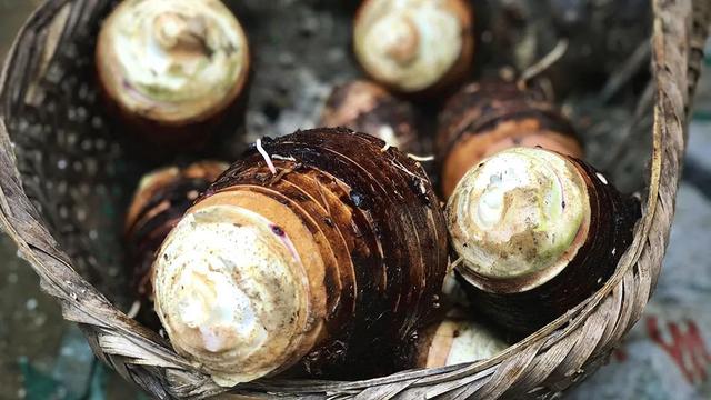 芋头，粮食界的“破圈”高手