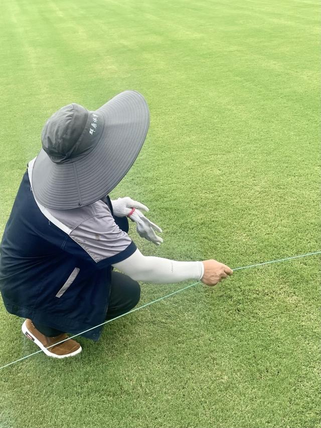 酷暑草常青，暴雨不积水，亚运场馆草坪怎么做到的？