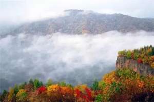 吉林冰葡萄种植(“浪漫红叶、多彩蛟河”)