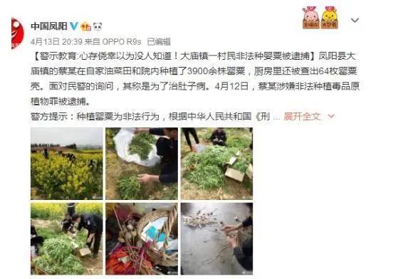 买不来就偷？你真“刑”！这些植物碰都别碰……