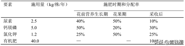 “台农3号”莲雾在南宁的引种表现及主要栽培技术