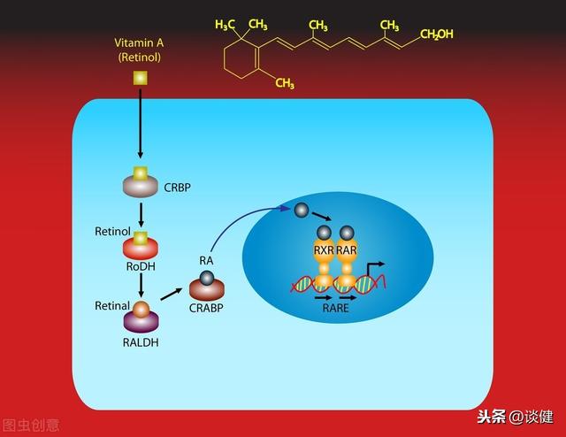 有了疤痕不好看怎么办？医生给出4个家庭方法来帮您