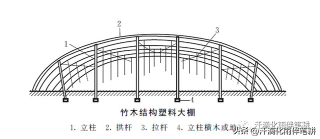 【耕作新天地】如何建造塑料大棚？如何安排蔬菜种植？