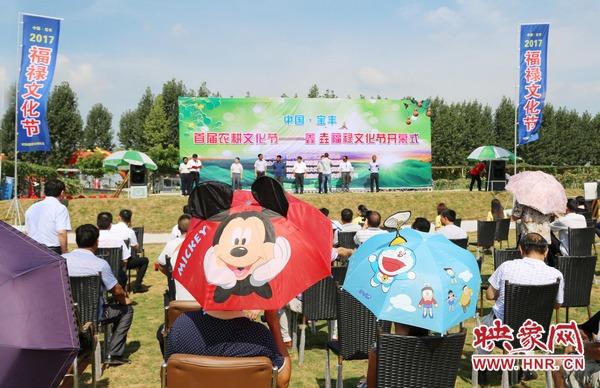 河南宝丰：葫芦种植深加工 打造福禄文化经济