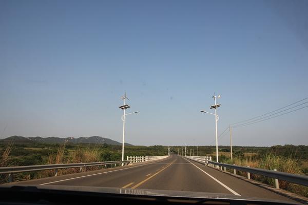 海南岛应花大力气发展种植黄花梨