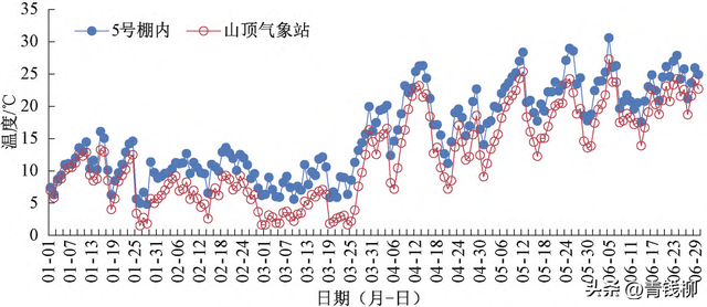 了解兰溪杨梅设施栽培发展的前景，把握市场商机