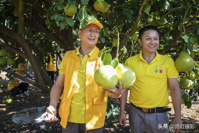 广东一座地级市，竟是国际认可的“世界长寿之都”，尤其盛产柚子