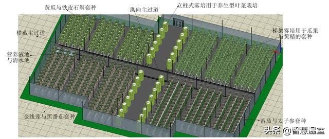 联栋温室型药草雾培工厂及茶餐厅设计