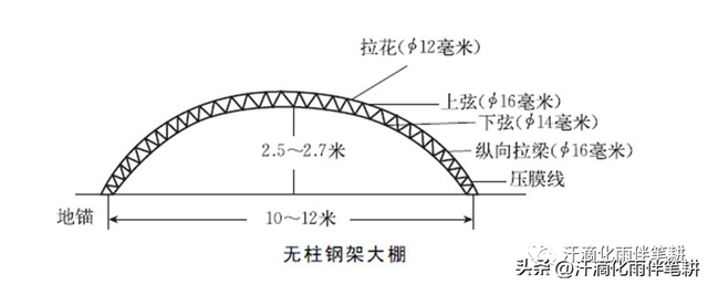 【耕作新天地】如何建造塑料大棚？如何安排蔬菜种植？