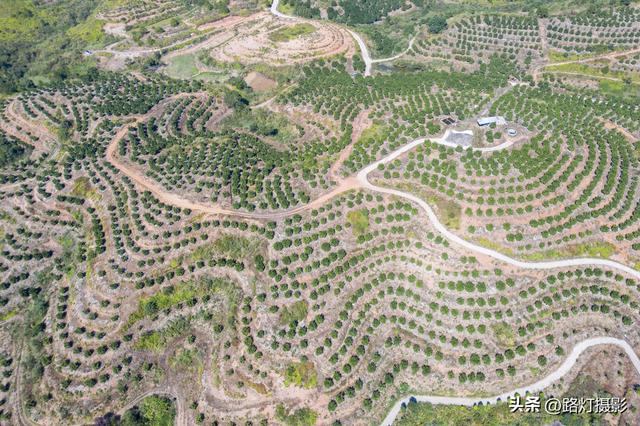 广东一座地级市，竟是国际认可的“世界长寿之都”，尤其盛产柚子