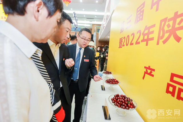 “樱”你而来 游走在“甜蜜”间 第三届中国·澄城樱桃云营销季5月18日启动