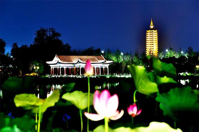 北京最美的季节里，北京号带您打卡秋日花海