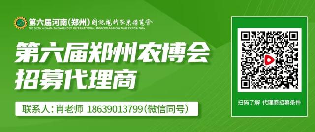 叮咚，来自洛阳的“牡丹快递”请查收