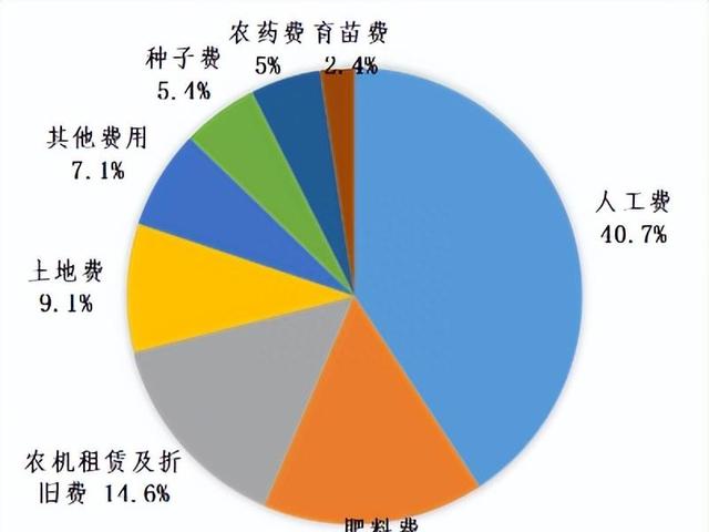 山东85后女生，别出心裁种蔬菜，年入500万，成功竟靠“懒”？