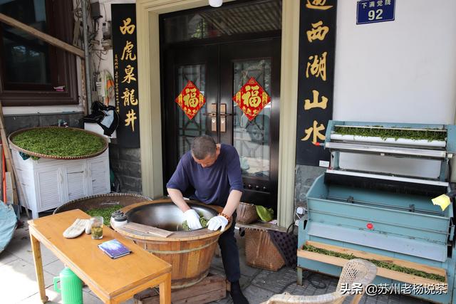 老杨说茶第173期：西湖龙井，你喝懂了吗？