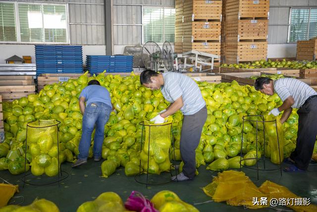 广东一座地级市，竟是国际认可的“世界长寿之都”，尤其盛产柚子