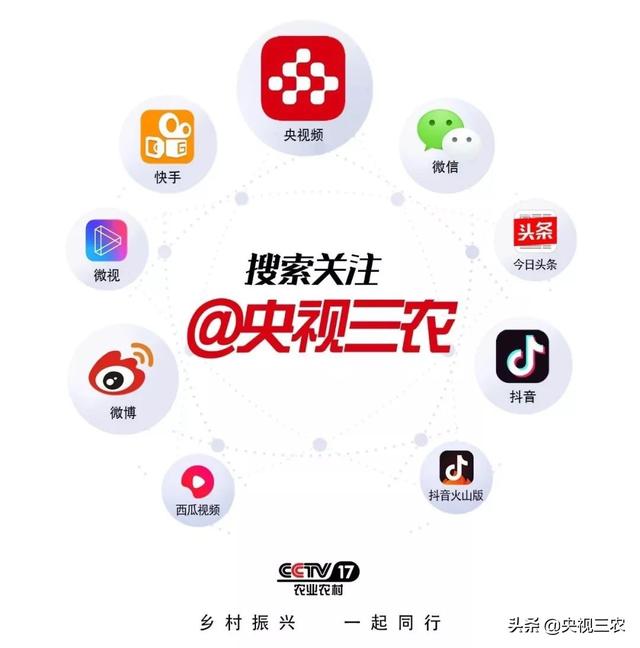 广东适合种铁皮石斛吗？专家解答来了