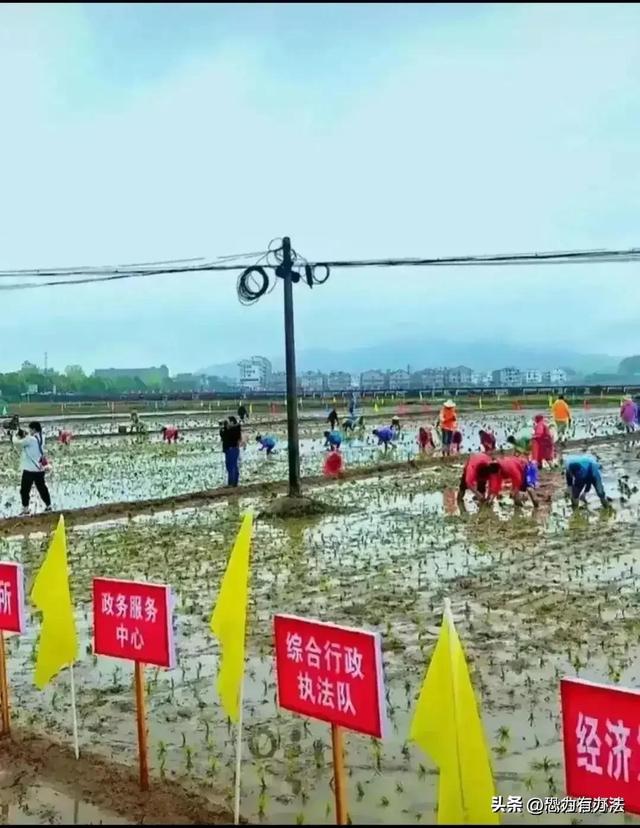 水泥板上复耕，水泥路上种庄稼，18亿亩耕地一厘也不会少