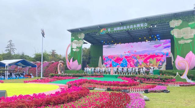 红网观察丨湖南花木博览会，看“花经济”一路生花