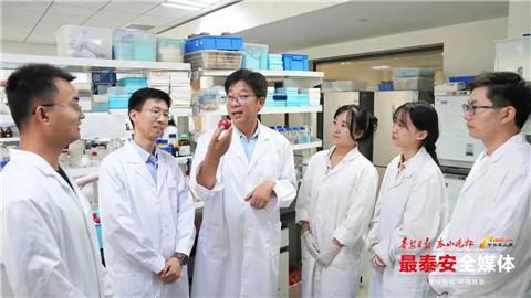 鲜食番茄可实现机械化生产！山东农业大学教授团队破解一项国际难题