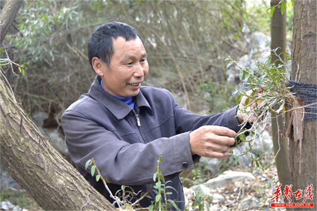 郴州文化扶贫：文化活了，景区火了，村民富了