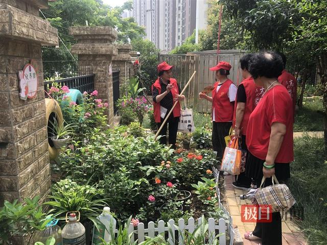 让月季花扮靓居民生活，武汉市东湖高新区城管邀请“花仙子”播撒鲜花