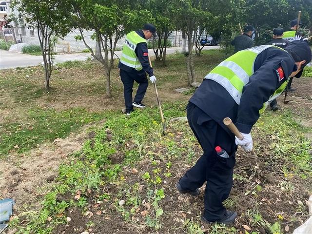 整治小区乱种植，还居民一个舒心