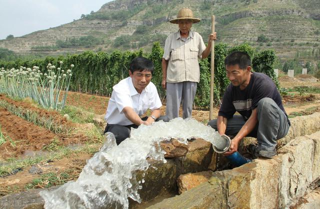 美国人为何盐水灌溉农田，不怕把庄稼浇死吗？盐水浇地有啥用？