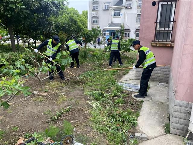 整治小区乱种植，还居民一个舒心