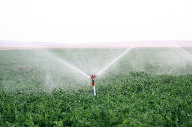 美国人为何盐水灌溉农田，不怕把庄稼浇死吗？盐水浇地有啥用？