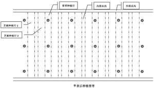 南亚种植什么为主(云南干热河谷区台湾青枣—芝麻间作栽培技术及效益分析)