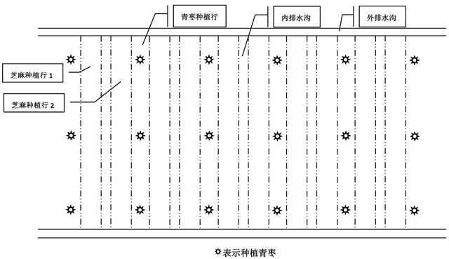 云南干热河谷区台湾青枣—芝麻间作栽培技术及效益分析