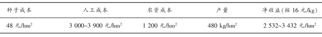 云南干热河谷区台湾青枣—芝麻间作栽培技术及效益分析