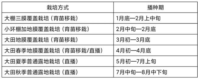 甜玉米（水果玉米）高产高效栽培技术（含施肥病虫草害治理技术）