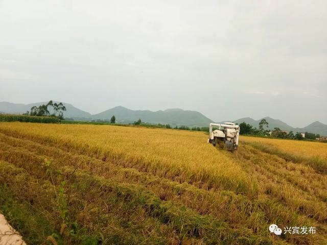 旱地变良田荒地产“黄金”