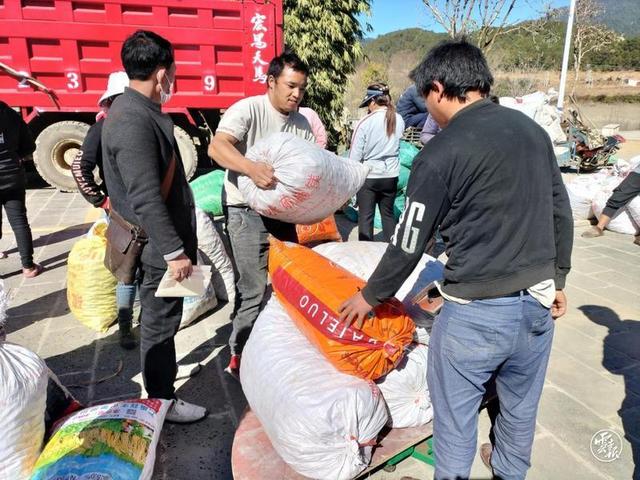 腾冲市滇滩镇：草果红了 日子火了