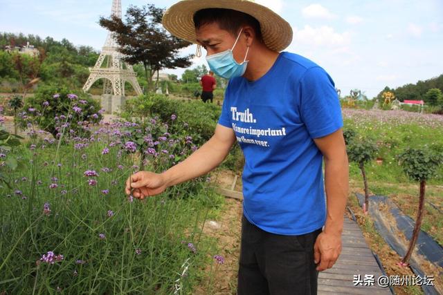 湖北随州：特色花卉基地绽放“致富花”