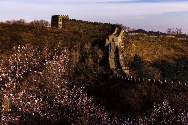 收下这份京郊赏花指南 景美人少好停车