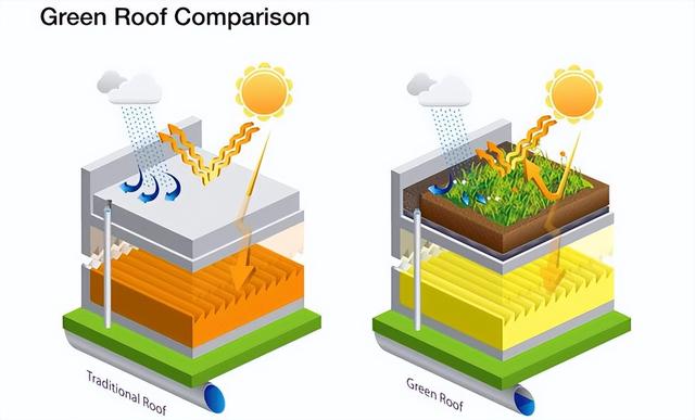 河南1高校屋顶装植物空调365天不浇水，一层土生长隔热降温，啥样